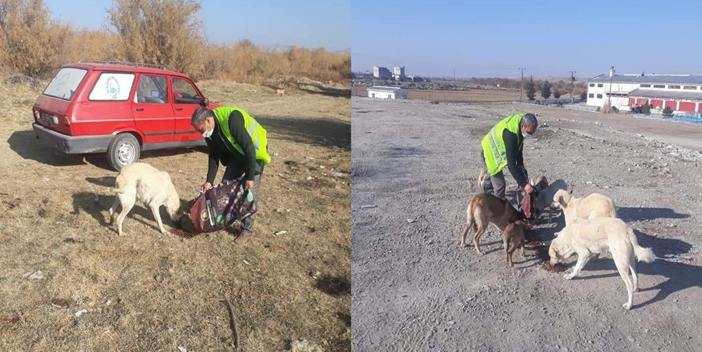 Sungurlu Belediyesi Sokak Hayvanlarını Unutmadı