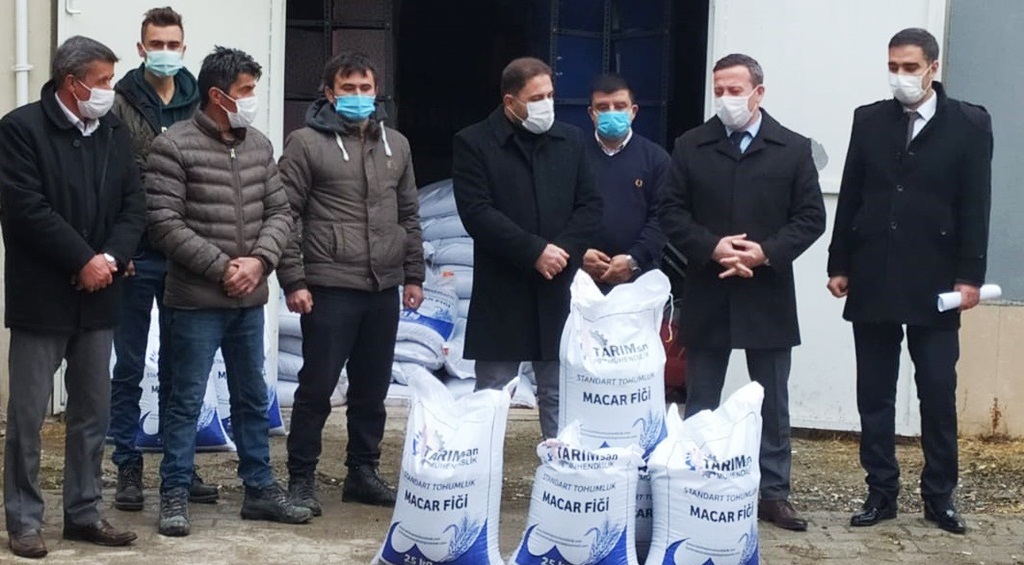 Sungurlu’da Çiftçi’ye 2.5 Ton Fiği Dağıtıldı