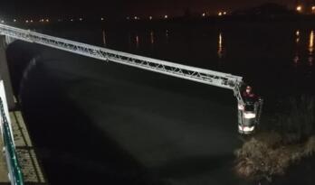 Nehire Düşen Köpek Kurtarıldı