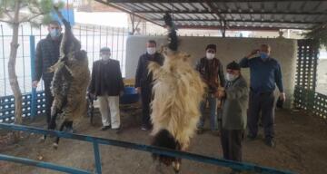 Kurban Kesip, Yağmur Duasına Çıktılar