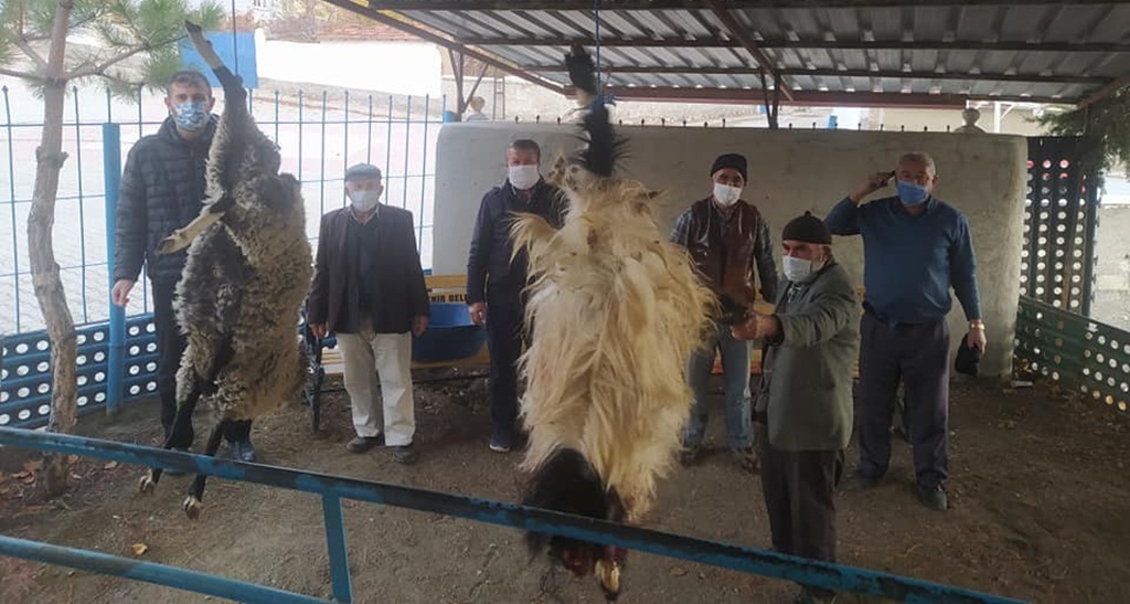 Kurban Kesip, Yağmur Duasına Çıktılar