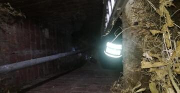 Su Kuyusuna Düşen Yavru Köpekler Kurtarıldı