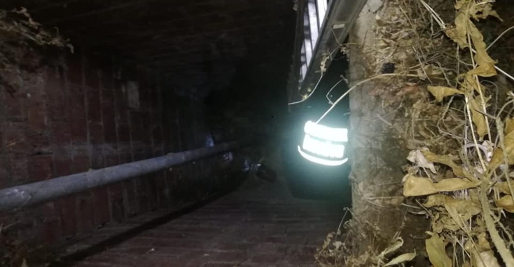 Su Kuyusuna Düşen Yavru Köpekler Kurtarıldı