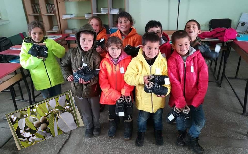 Bu Gençler Bir Harika!