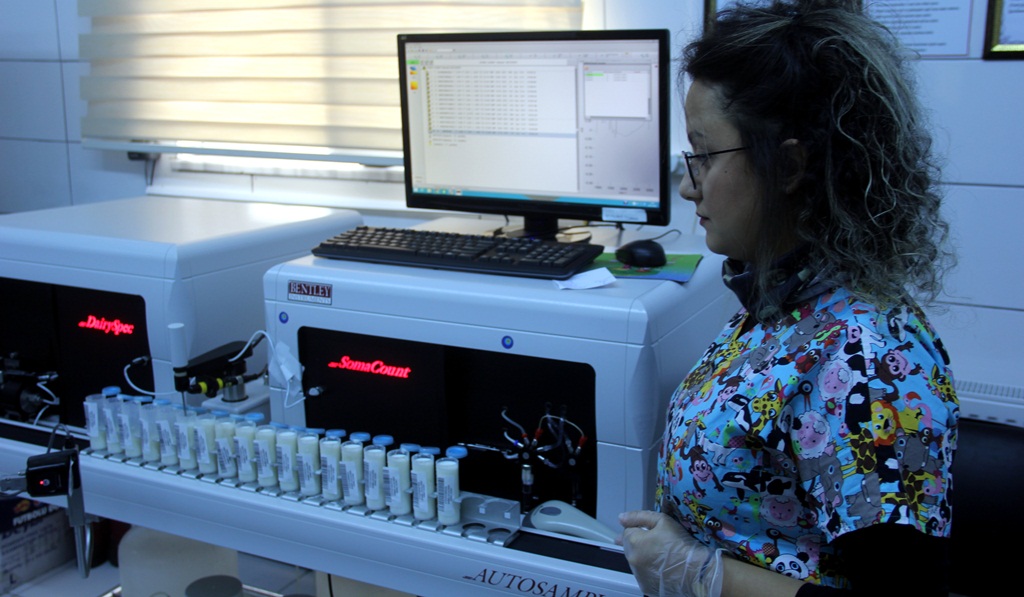 Çorum Sütleri Erzincan’da Analiz Yapılıyor