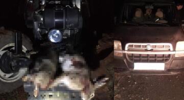 Kaçak Avlananlara 11 Bin Lira Ceza