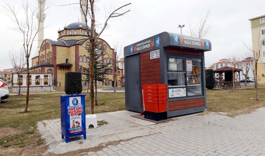 Bayat Ekmeklerden Sokak Hayvanlarına Mama