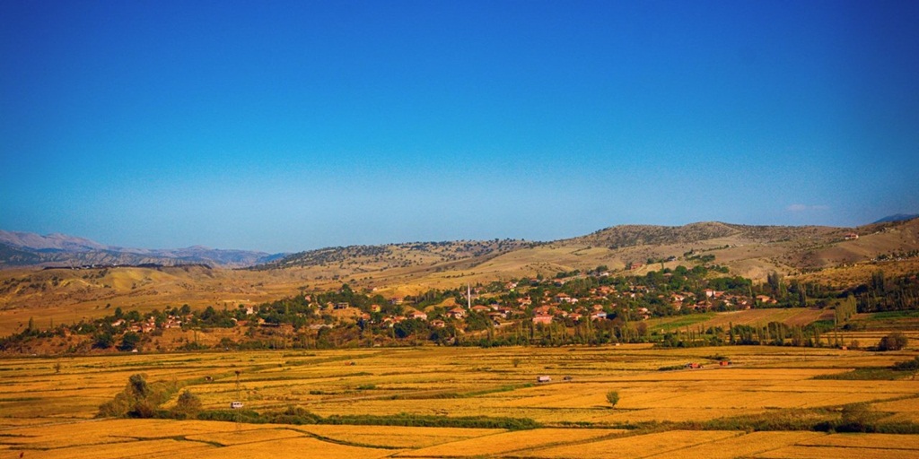 Gökgözler Köyü Karantinaya Alındı