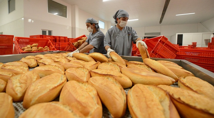 Halk Ekmek Ucuzladı