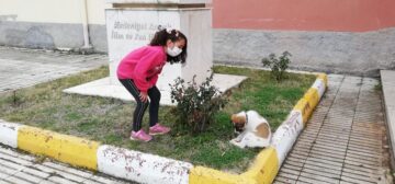 Sokak Köpeğine Okul Bahçesinde Bakacaklar