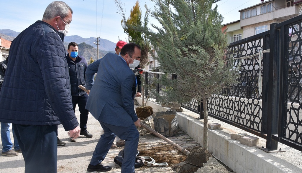 İskilip Belediyesi Fidan Dikmeye Devam Ediyor