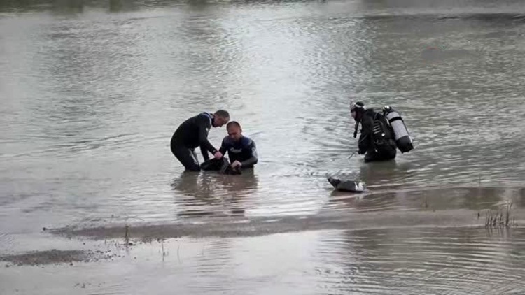 Irmakta Cansız Bedenini Buldular