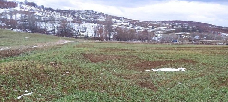 Sungurlu’da Mevsimler Hastalıklar Araştırılıyor