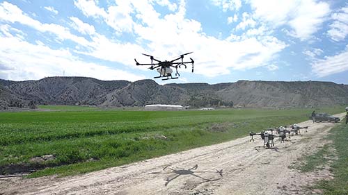 İlaçlamalar ZİHA Tarafından Yapıldı