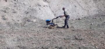 Yaban Hayvanları İçin Yem Bitkisi Ektiler