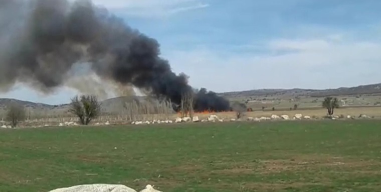 Çorum’daki ‘Kuş Cenneti’nde Korkutan Yangın