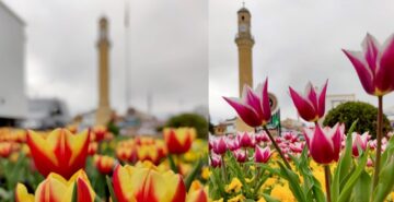 “Çorum’da Bahar” Fotoğraf Yarışması