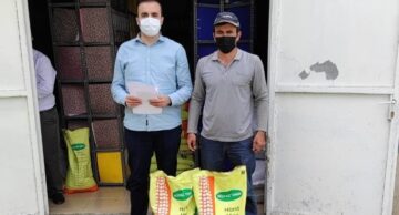 Sungurlu’da Çiftçilere Silajlık Mısır Tohumu Dağıtıldı