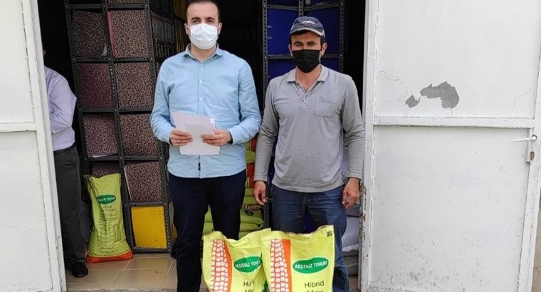Sungurlu’da Çiftçilere Silajlık Mısır Tohumu Dağıtıldı