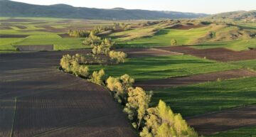 İlkbaharla Renk Cümbüşü Cezbediyor