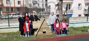 Sokağımızın Kedileri Güvenli Ellerde