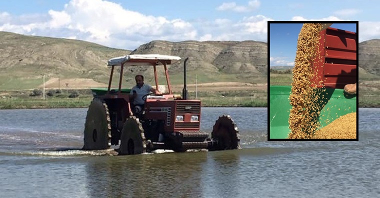 Sungurlu’da Çeltik Ekimi Başladı