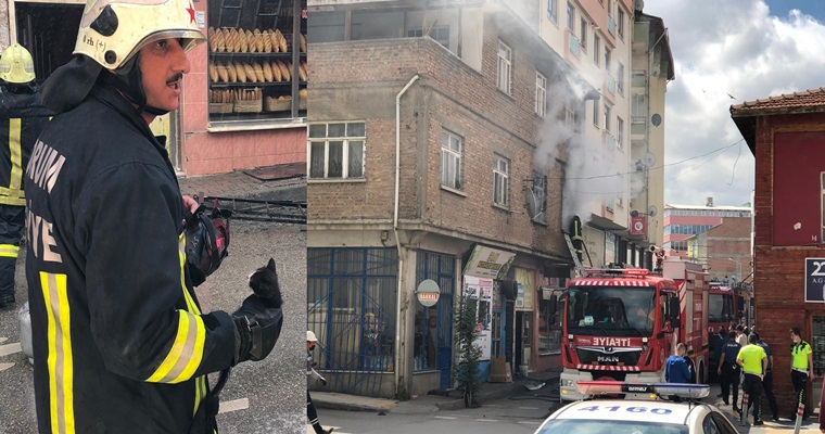 Yangında Mahsur Kalan Kedileri İtfaiye Kurtardı