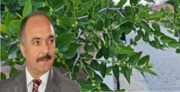 Aydın’dan, Dodurgalılara Hünnap Meyvesi Yetiştirin Tavsiyesi