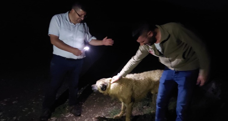 Definecilerin Kazdığı Çukura Düştü