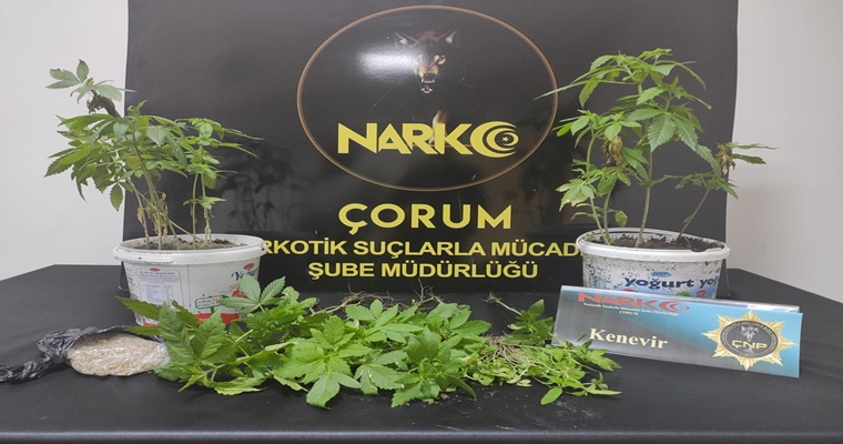 Çorum’da Uyuşturucu Operasyonu