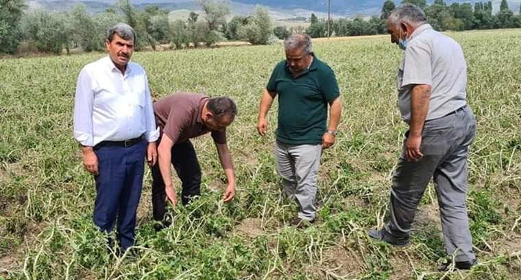 Çorum’da Tarım Alanlarını Dolu Vurdu