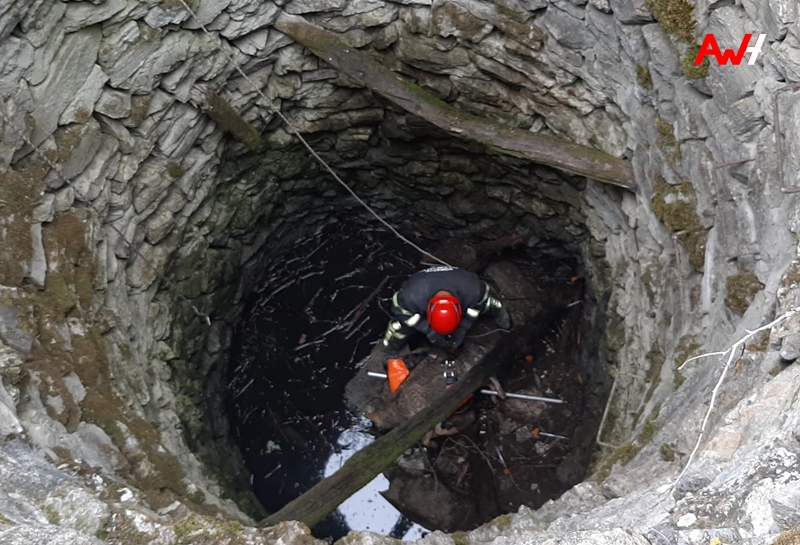 Kuyuya Düşen Kurt Kurtarıldı