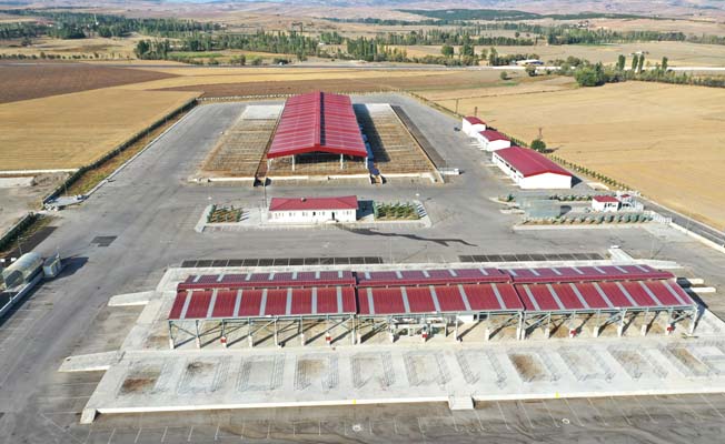 Padok Alanları Kiraya Verilecek