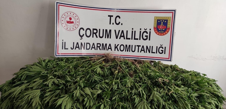 Çorum’da Uyuşturucu Operasyonu