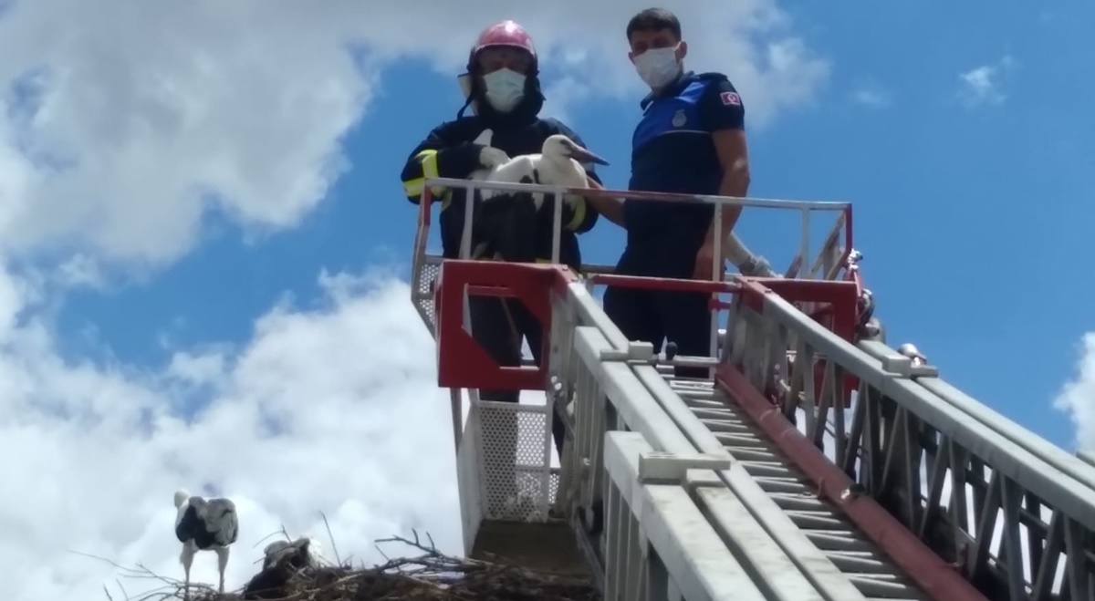 Direkte Mahsur Kalan Leyleği İtfaiye Kurtardı