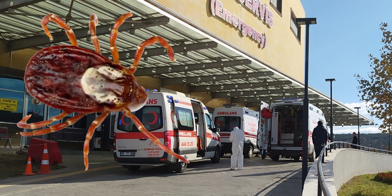 Kene Çorum’da Can Aldı