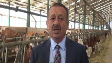 Çorum’da Hayvancılığa Büyük Destek
