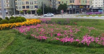 Belediye Kenti Çiçeklerle Donatıyor