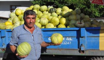 10 Dilim Kavun Tezgahlarda