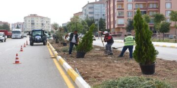 Belediye Çorum’u Ağaçlandırmaya Devam Ediyor