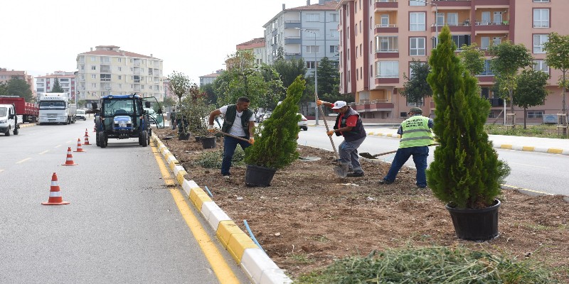 Belediye Çorum’u Ağaçlandırmaya Devam Ediyor