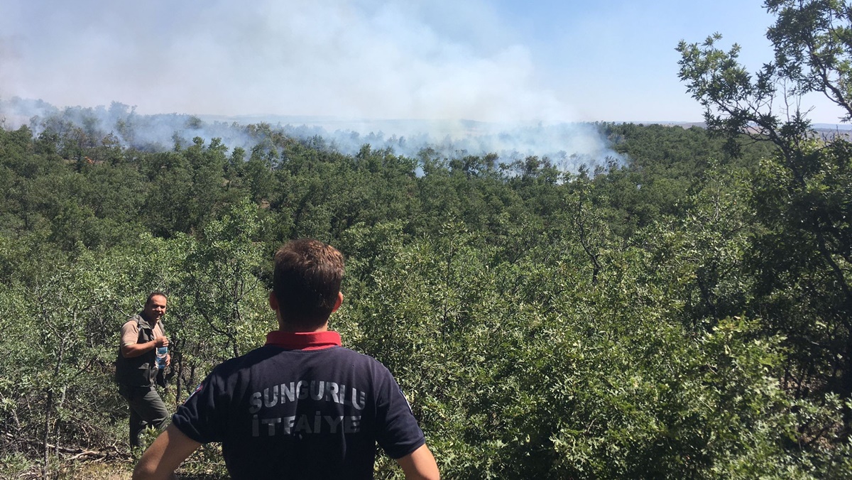 Çorum’da Şüpheli Orman Yangını