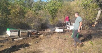 Çıkan Yangın Arı Kovanlarına Sıçradı