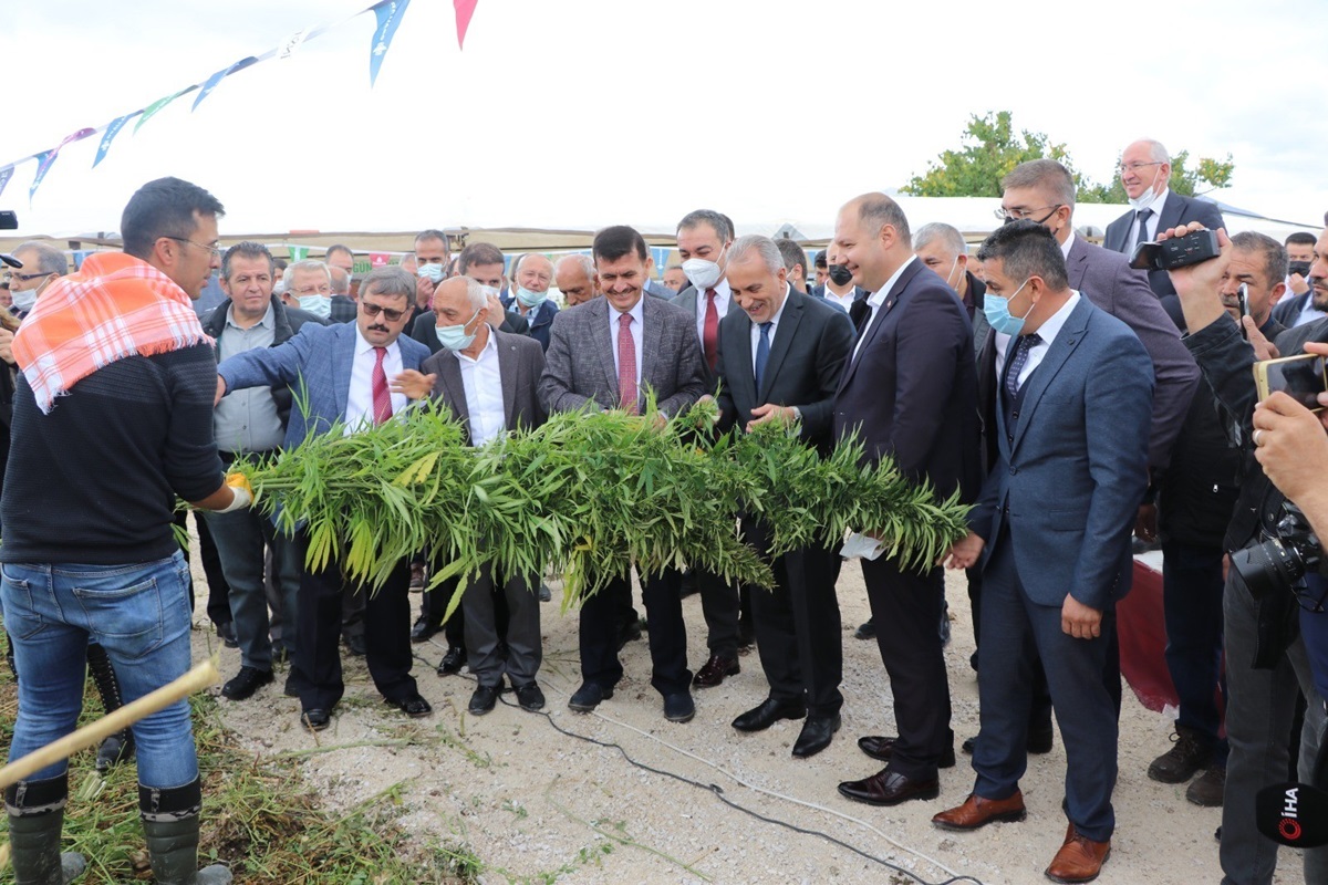 Kenevir Hasatı Yapacak Makine Tasarlandı