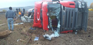 Büyükbaş Hayvanlar Telef Oldu