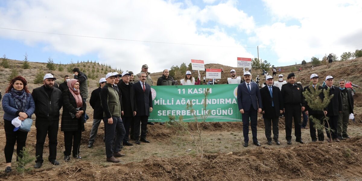 Milli Ağaçlandırma Seferberliği Kapsamında Fidan Dikildi