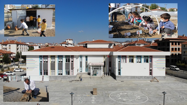 Bu Okuldan Doğa ve Hayvan Sevgisi Aşılanıyor