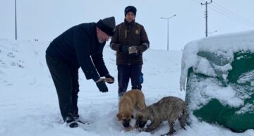 Çorum’da Sokak Hayvanları Unutulmadı