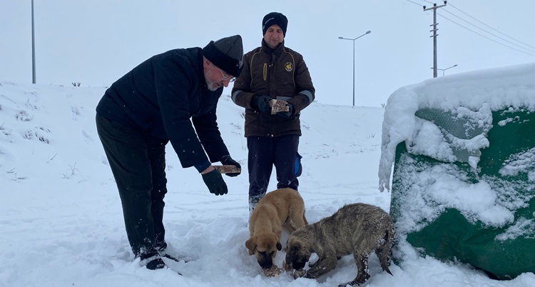 Çorum’da Sokak Hayvanları Unutulmadı
