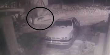 Aç Kalan Kurt Köye İndi